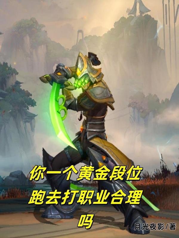 黄金段位上一个是什么
